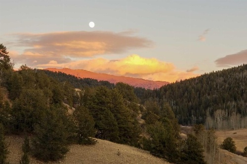 Hillside Cripple Creek Cabin with Hot Tub, Mtn Views! image 24