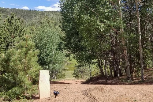 Hillside Cripple Creek Cabin with Hot Tub, Mtn Views! image 31